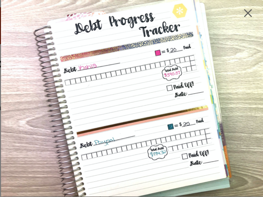 Individual Debt Progress Tracker Stickers